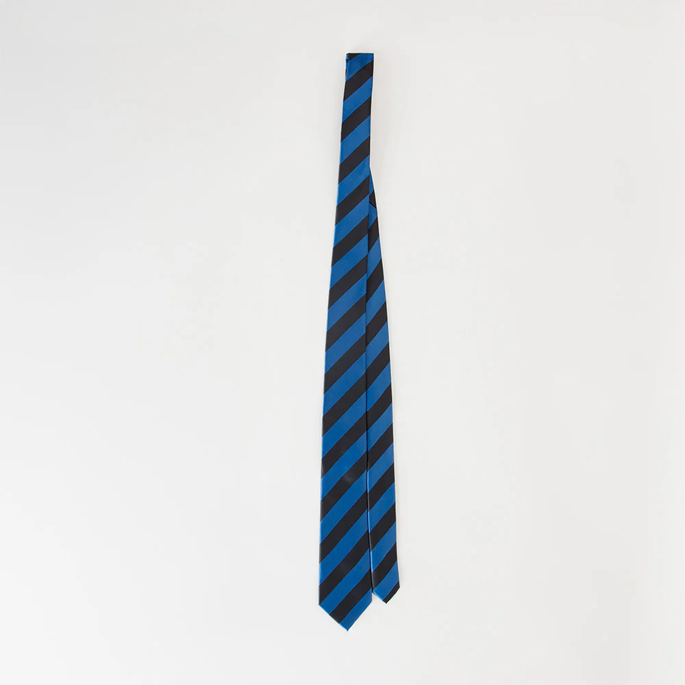 Black & Blue Striped Necktie