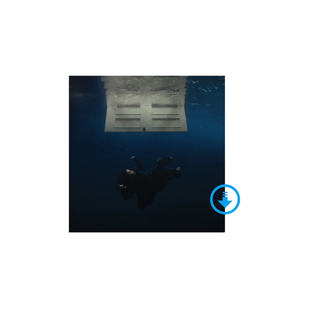 HIT ME HARD AND SOFT - EXCLUSIVE DIGITAL ALBUM (WITH ALL ISOLATED VOCALS)